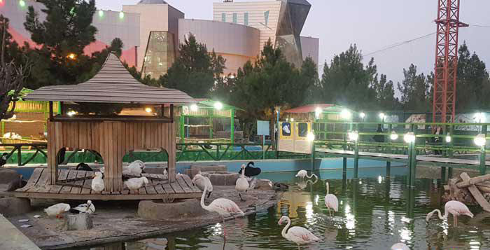 باغ پرتذگان مشهد